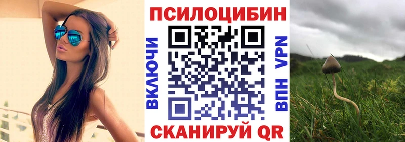 Купить закладки  Кочубеевское  Галлюциногенные грибы прущие грибы 